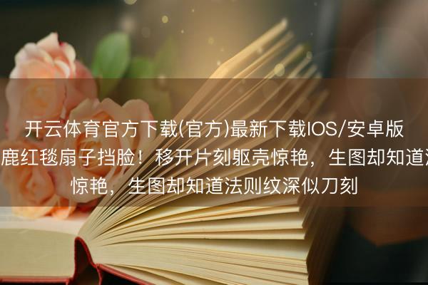 开云体育官方下载(官方)最新下载IOS/安卓版/手机版APP 白